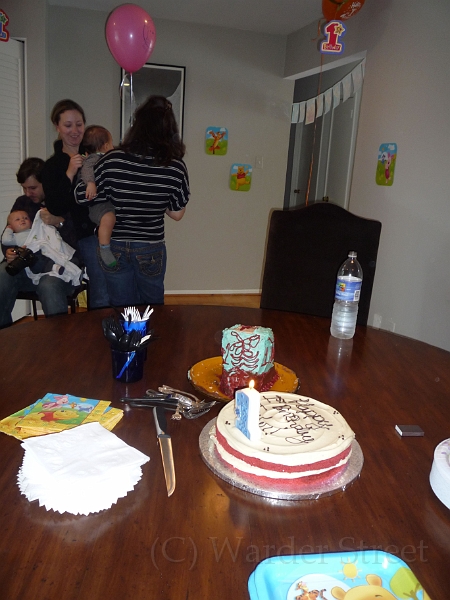 Tyler's First Birthday 41.jpg